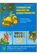Techniques & Practices for Cashew Production India
